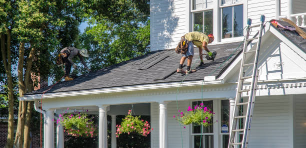 Roof Maintenance